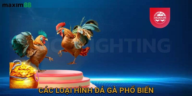 Các Loại Hình Đá Gà Phổ Biến Trên MAXIM88