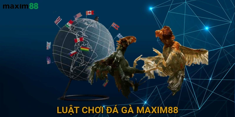 Luật Chơi Đá Gà MAXIM88