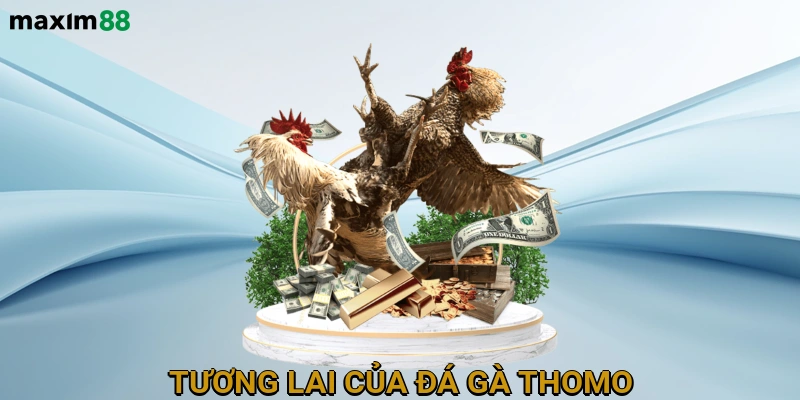 Tương lai của đá gà thomo